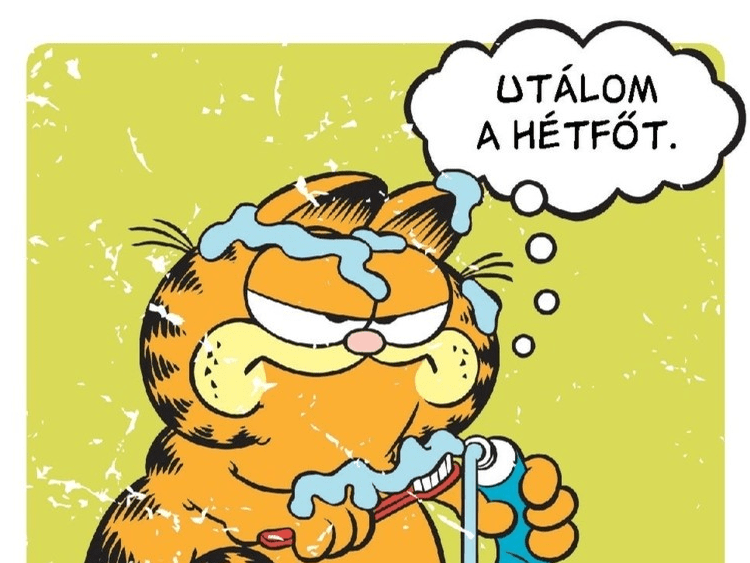 Garfield hates mondays Python time